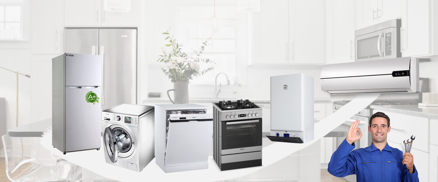 Finike Dominox Servisi